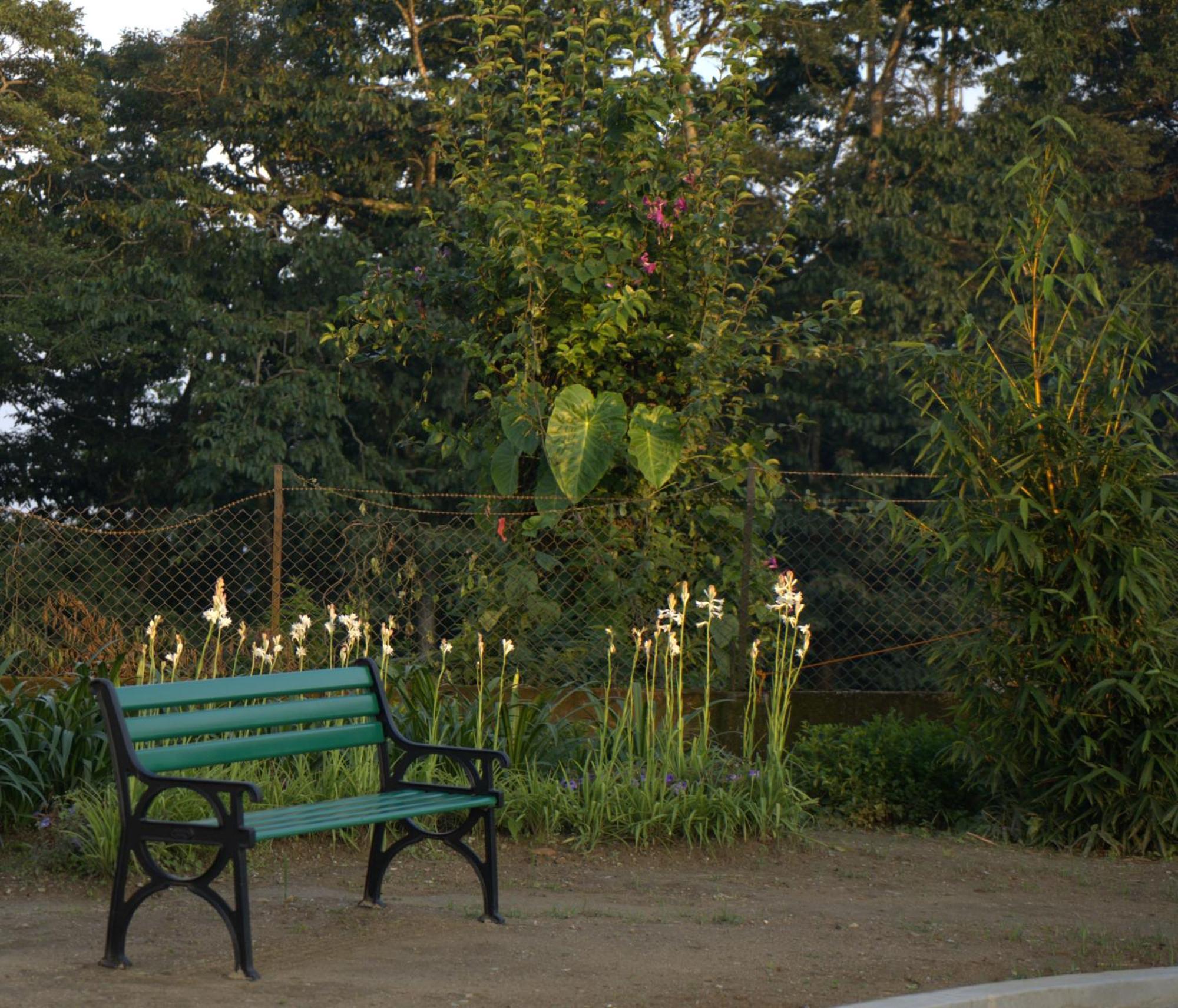 Niharika, The Old Place Kalimpong Bagian luar foto
